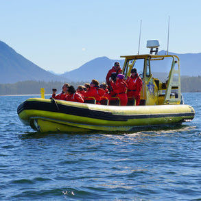 Bateaux Semi-Rigides : Dernières Tendances et Innovations